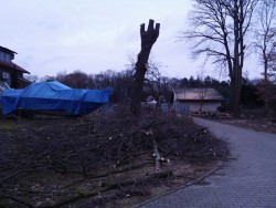 20170225_173945.jpg