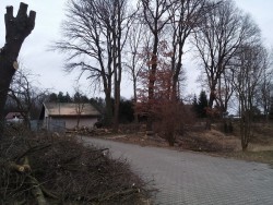 20170225_173957.jpg