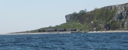 DSCF2698m.JPG