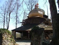 cebula1.jpg