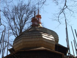 cebula2.jpg