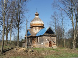 kotów1.jpg