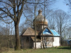 kotów2.jpg