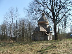 kotów3.jpg