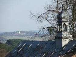 zg5.jpg