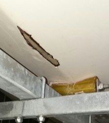 20170405_153719-1.jpg