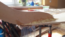 20170512_115905.jpg