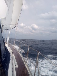 IMG_20170422_174048.jpg