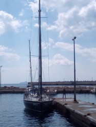IMG_20170423_105843.jpg