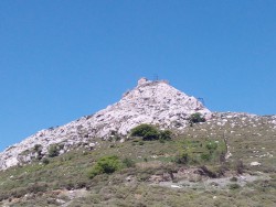 IMG_20170424_142044.jpg