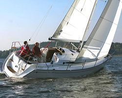 D29-1.jpg