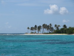 IMG_6780.jpg