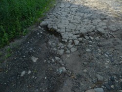DSCN3127.JPG