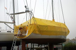 Kocur pod zimowa kołderką002.jpg