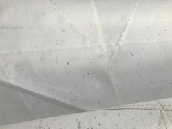 IMG_0322.jpg