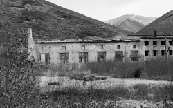 butugyczag1.jpg