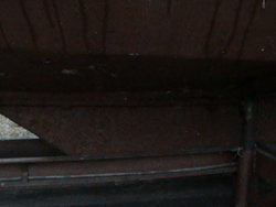 DSC00023.JPG