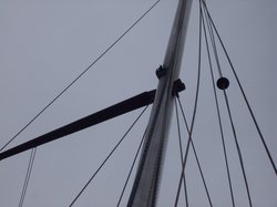 100_7155.JPG