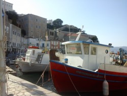 20180530_165637.jpg