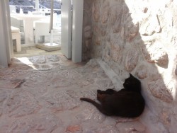 20180530_163323.jpg