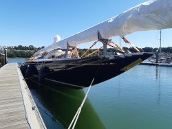 20180723_125159.jpg