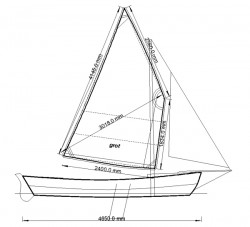 Dory03x.jpg