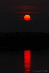DSC_3906-1.JPG