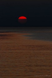 DSC_3959-1.JPG