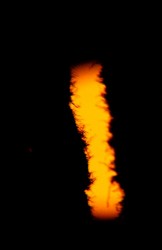 DSC03733 (487 x 750).jpg