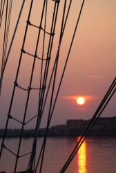 DSC03976.JPG