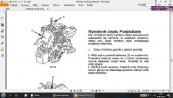 Przepłukiwanie wymiennika.jpg