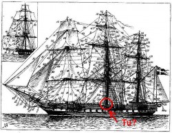 fregata_1.jpg