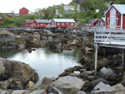 Nusfjord.jpg