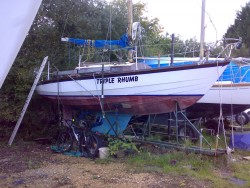 05102010804.jpg