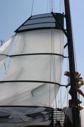 mono wing 7.jpg