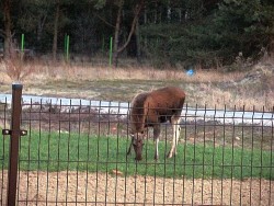 Widok z okna01.jpg