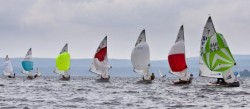 143__563x250_pirat.jpg