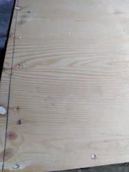 IMG_20200414_204211.jpg