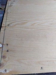 IMG_20200414_204724.jpg