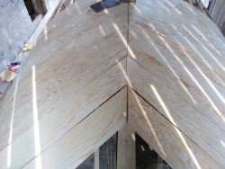 IMG_20200425_083713.jpg