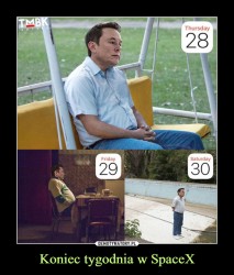 Musk.jpg