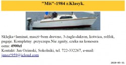 miś.jpg