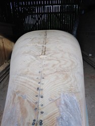 IMG_20200720_183858.jpg