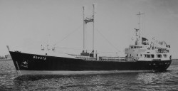f03103b_Boruta.jpg