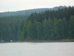 P1030232.jpg