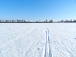 DSCN5971.JPG