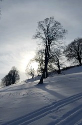 20210131_175711.jpg