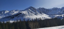 20210223_104441_resized.jpg