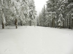 DSCN5998.JPG