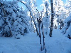 DSCN6009.JPG